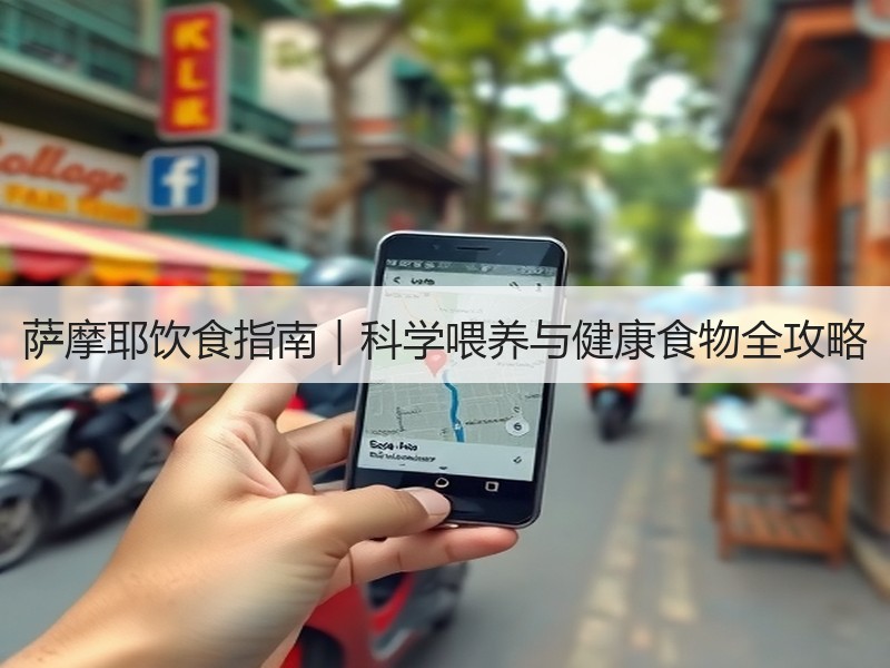 萨摩耶饮食指南｜科学喂养与健康食物全攻略