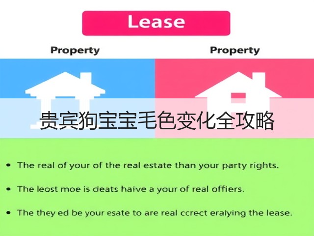 贵宾狗宝宝毛色变化全攻略(图1) 贵宾狗宝宝毛色变化全攻略(图1)