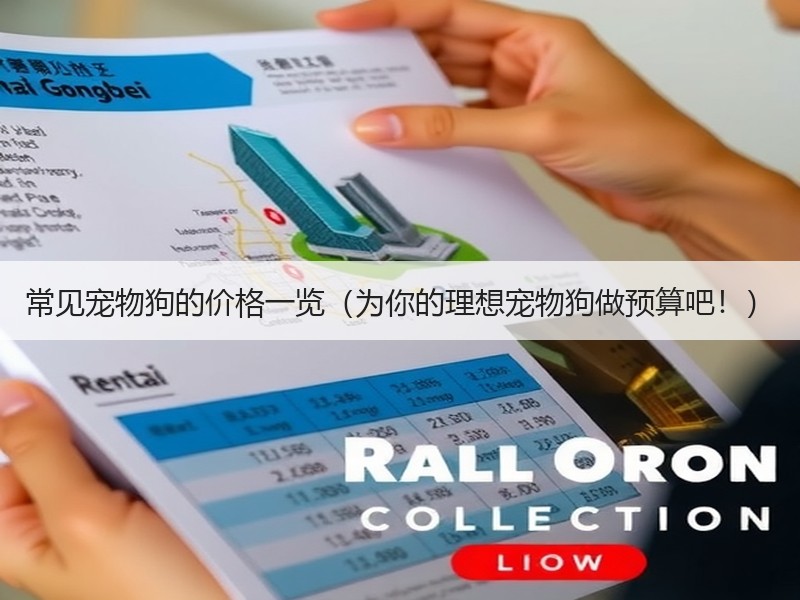 常见宠物狗的价格一览（为你的理想宠物狗做预算吧！）