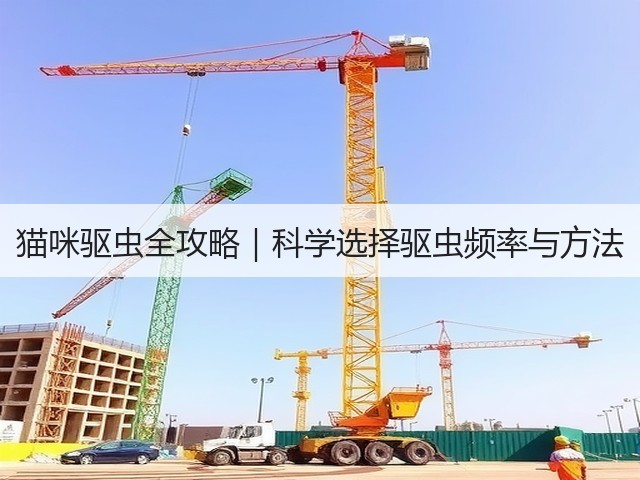 猫咪驱虫全攻略|科学选择驱虫频率与方法(图2) 猫咪驱虫全攻略|科学选择驱虫频率与方法(图2)