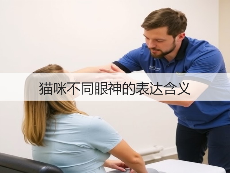 猫咪不同眼神的表达含义