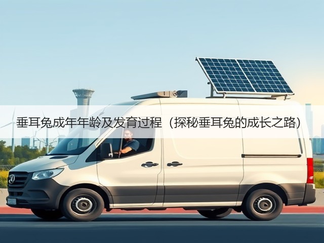 垂耳兔成年年龄及发育过程(探秘垂耳兔的成长之路)(图1) 垂耳兔成年年龄及发育过程(探秘垂耳兔的成长之路)(图1)