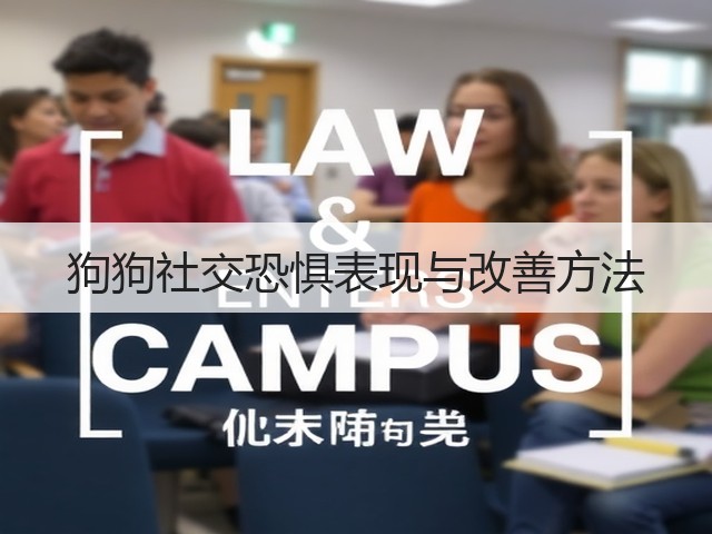 狗狗社交恐惧表现与改善方法(图2)