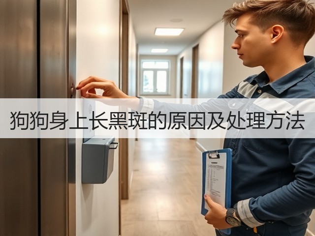狗狗身上长黑斑的原因及处理方法(图2) 狗狗身上长黑斑的原因及处理方法(图2)