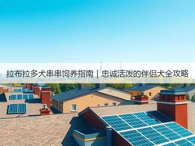 拉布拉多犬串串饲养指南|忠诚活泼的伴侣犬全攻略(图1) 拉布拉多犬串串饲养指南|忠诚活泼的伴侣犬全攻略(图1)