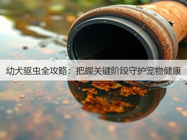 幼犬驱虫全攻略:把握关键阶段守护宠物健康(图3) 幼犬驱虫全攻略:把握关键阶段守护宠物健康(图3)