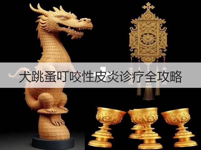 犬跳蚤叮咬性皮炎诊疗全攻略(图1) 犬跳蚤叮咬性皮炎诊疗全攻略(图1)