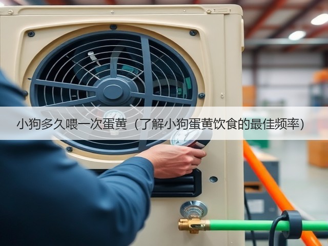 小狗多久喂一次蛋黄(了解小狗蛋黄饮食的最佳频率)(图1) 小狗多久喂一次蛋黄(了解小狗蛋黄饮食的最佳频率)(图1)