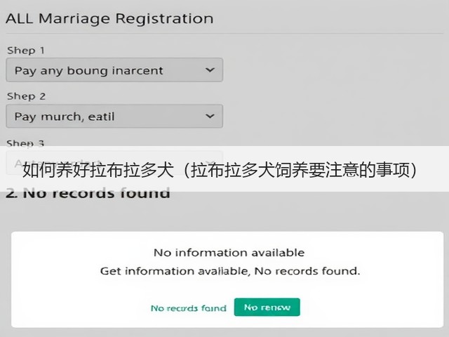如何养好拉布拉多犬(拉布拉多犬饲养要注意的事项)(图3) 如何养好拉布拉多犬(拉布拉多犬饲养要注意的事项)(图3)