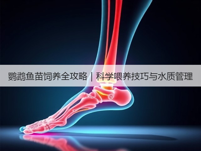 鹦鹉鱼苗饲养全攻略|科学喂养技巧与水质管理(图3) 鹦鹉鱼苗饲养全攻略|科学喂养技巧与水质管理(图3)