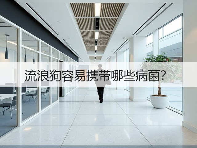 流浪狗容易携带哪些病菌?(图1) 流浪狗容易携带哪些病菌?(图1)