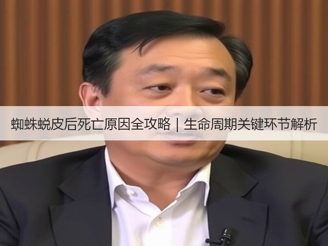 蜘蛛蜕皮后死亡原因全攻略|生命周期关键环节解析(图3) 蜘蛛蜕皮后死亡原因全攻略|生命周期关键环节解析(图3)