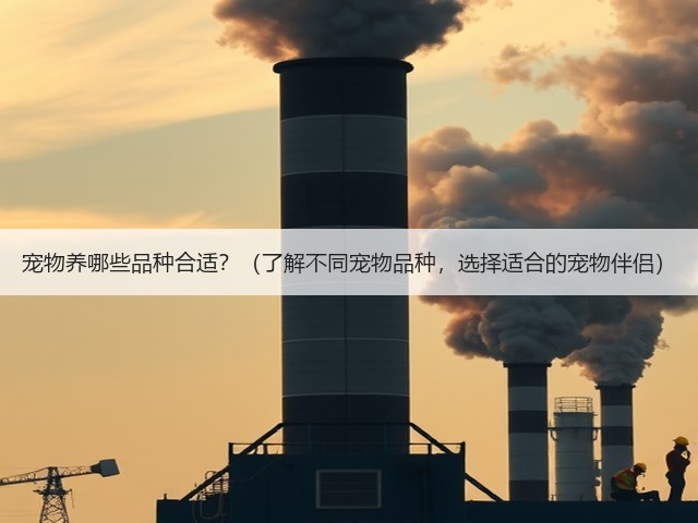 宠物养哪些品种合适?(了解不同宠物品种,选择适合的宠物伴侣)(图2) 宠物养哪些品种合适?(了解不同宠物品种,选择适合的宠物伴侣)(图2)