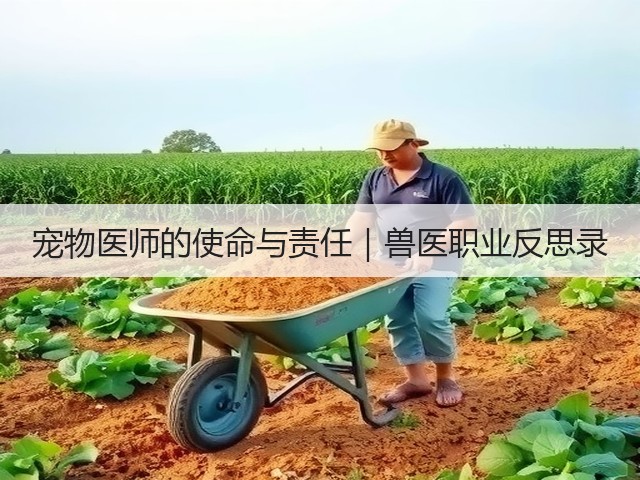 宠物医师的使命与责任|兽医职业反思录(图3) 宠物医师的使命与责任|兽医职业反思录(图3)