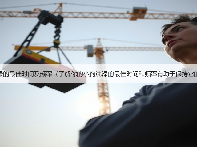 小狗洗澡的最佳时间及频率(了解你的小狗洗澡的最佳时间和频率有助于保持它的健康)(图3) 小狗洗澡的最佳时间及频率(了解你的小狗洗澡的最佳时间和频率有助于保持它的健康)(图3)