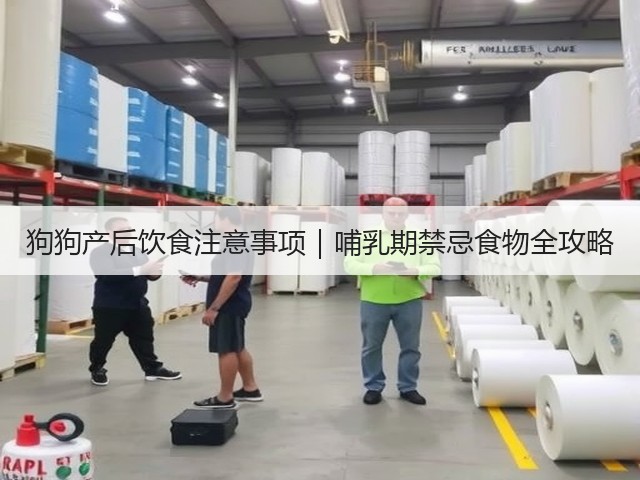 狗狗产后饮食注意事项|哺乳期禁忌食物全攻略(图3) 狗狗产后饮食注意事项|哺乳期禁忌食物全攻略(图3)