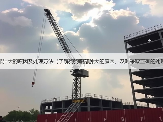 狗狗腹部肿大的原因及处理方法(了解狗狗腹部肿大的原因,及时采取正确的处理方法)(图1) 狗狗腹部肿大的原因及处理方法(了解狗狗腹部肿大的原因,及时采取正确的处理方法)(图1)