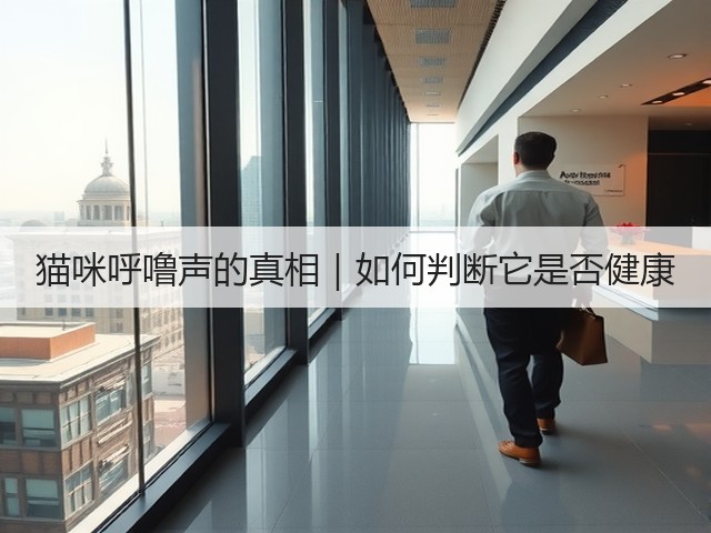 猫咪呼噜声的真相｜如何判断它是否健康(图1)