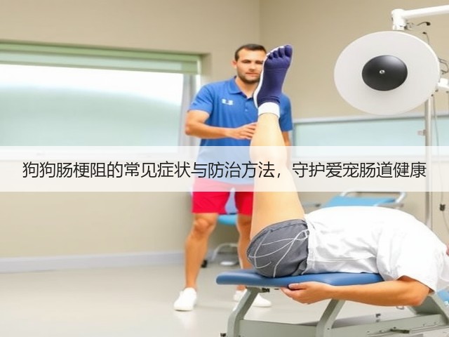 狗狗肠梗阻的常见症状与防治方法,守护爱宠肠道健康(图1) 狗狗肠梗阻的常见症状与防治方法,守护爱宠肠道健康(图1)