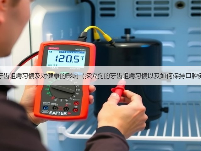 狗的牙齿咀嚼习惯及对健康的影响(探究狗的牙齿咀嚼习惯以及如何保持口腔健康)(图3) 狗的牙齿咀嚼习惯及对健康的影响(探究狗的牙齿咀嚼习惯以及如何保持口腔健康)(图3)