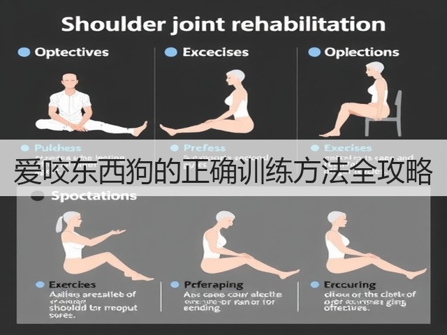 爱咬东西狗的正确训练方法全攻略(图2) 爱咬东西狗的正确训练方法全攻略(图2)