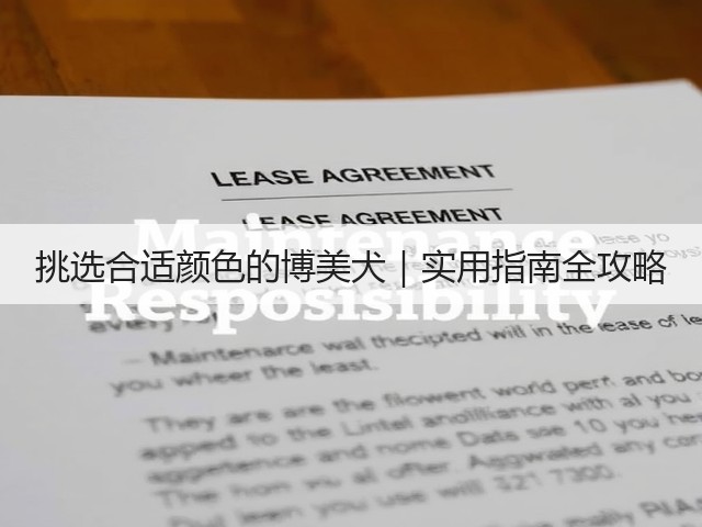挑选合适颜色的博美犬|实用指南全攻略(图2) 挑选合适颜色的博美犬|实用指南全攻略(图2)