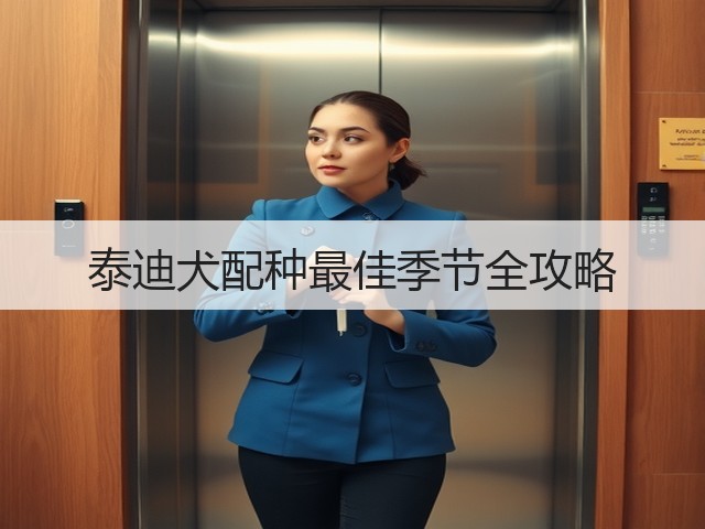 泰迪犬配种最佳季节全攻略(图3) 泰迪犬配种最佳季节全攻略(图3)