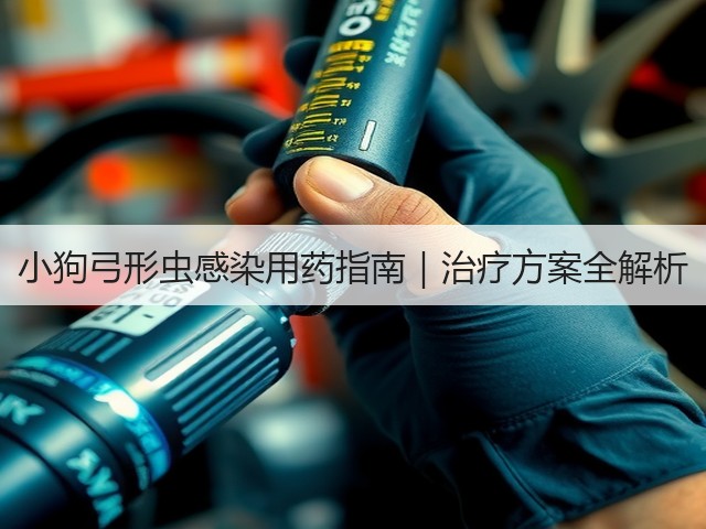 小狗弓形虫感染用药指南|治疗方案全解析(图1) 小狗弓形虫感染用药指南|治疗方案全解析(图1)