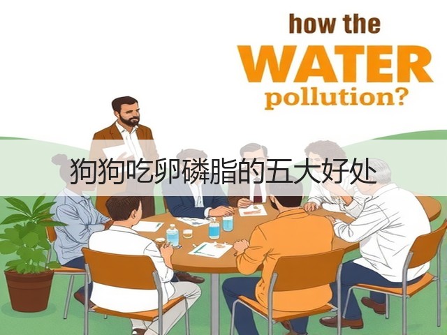 狗狗吃卵磷脂的五大好处(图2) 狗狗吃卵磷脂的五大好处(图2)