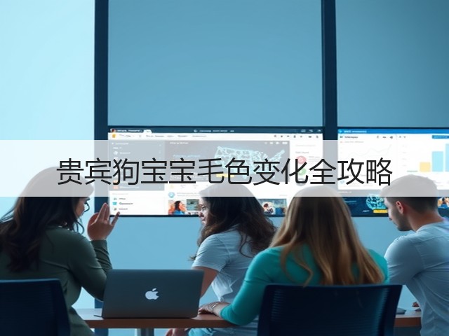 贵宾狗宝宝毛色变化全攻略(图3) 贵宾狗宝宝毛色变化全攻略(图3)