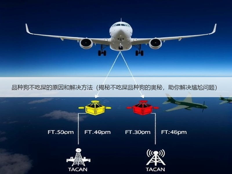 品种狗不吃屎的原因和解决方法（揭秘不吃屎品种狗的奥秘，助你解决尴尬问题）