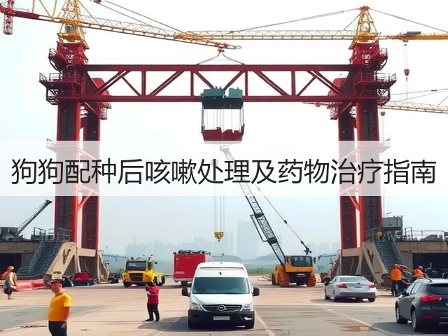 狗狗配种后咳嗽处理及药物治疗指南(图1)