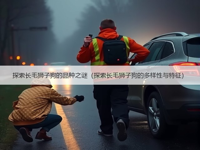探索长毛狮子狗的品种之谜(探索长毛狮子狗的多样性与特征)(图1) 探索长毛狮子狗的品种之谜(探索长毛狮子狗的多样性与特征)(图1)