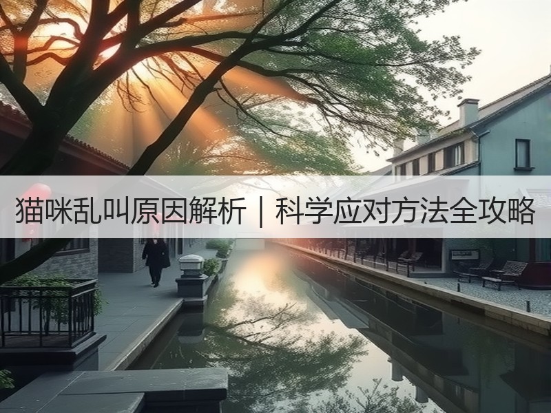 猫咪乱叫原因解析｜科学应对方法全攻略