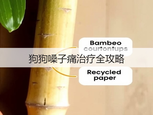 狗狗嗓子痛治疗全攻略(图3) 狗狗嗓子痛治疗全攻略(图3)