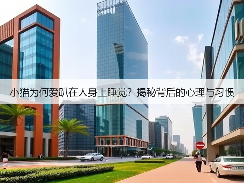 小猫为何爱趴在人身上睡觉？揭秘背后的心理与习惯