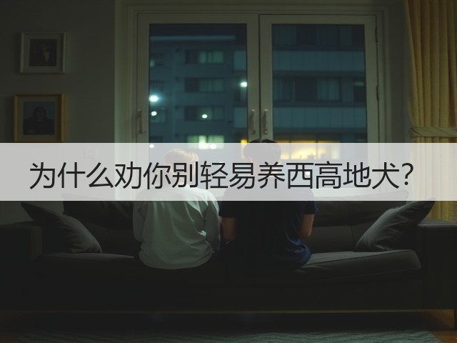 为什么劝你别轻易养西高地犬?(图2) 为什么劝你别轻易养西高地犬?(图2)