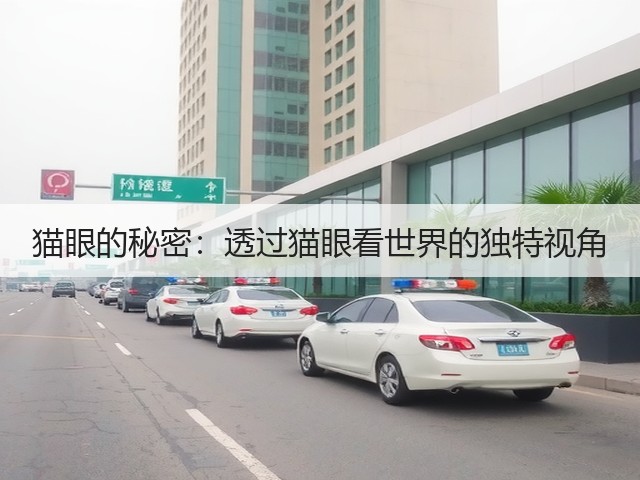 猫眼的秘密:透过猫眼看世界的独特视角(图1) 猫眼的秘密:透过猫眼看世界的独特视角(图1)