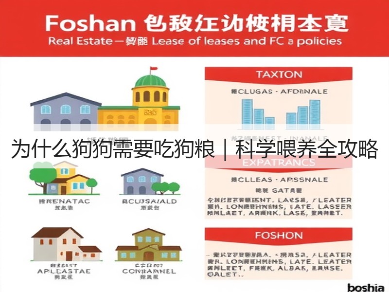 为什么狗狗需要吃狗粮｜科学喂养全攻略