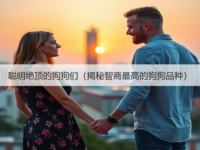 聪明绝顶的狗狗们(揭秘智商最高的狗狗品种)(图2) 聪明绝顶的狗狗们(揭秘智商最高的狗狗品种)(图2)