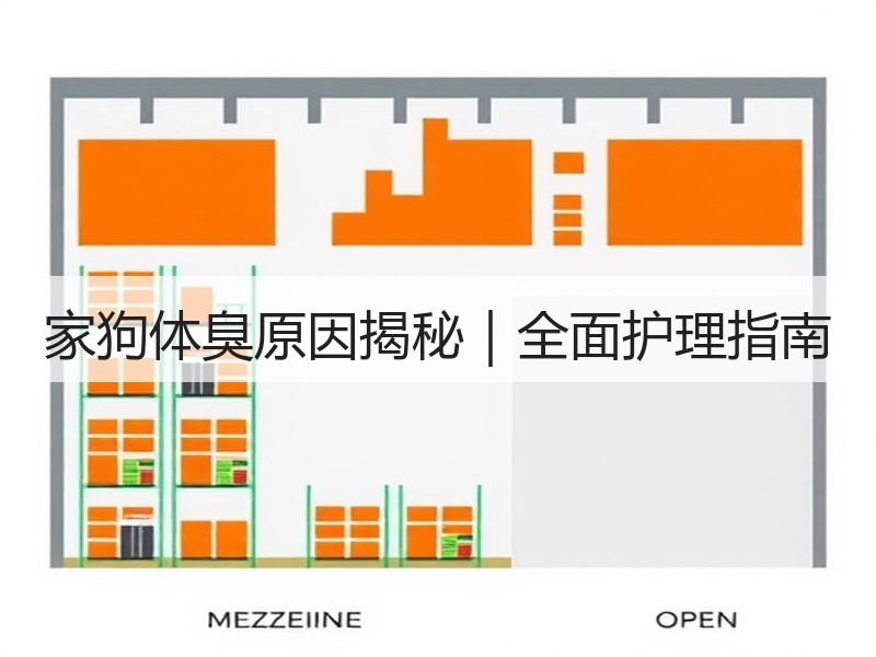 家狗体臭原因揭秘｜全面护理指南