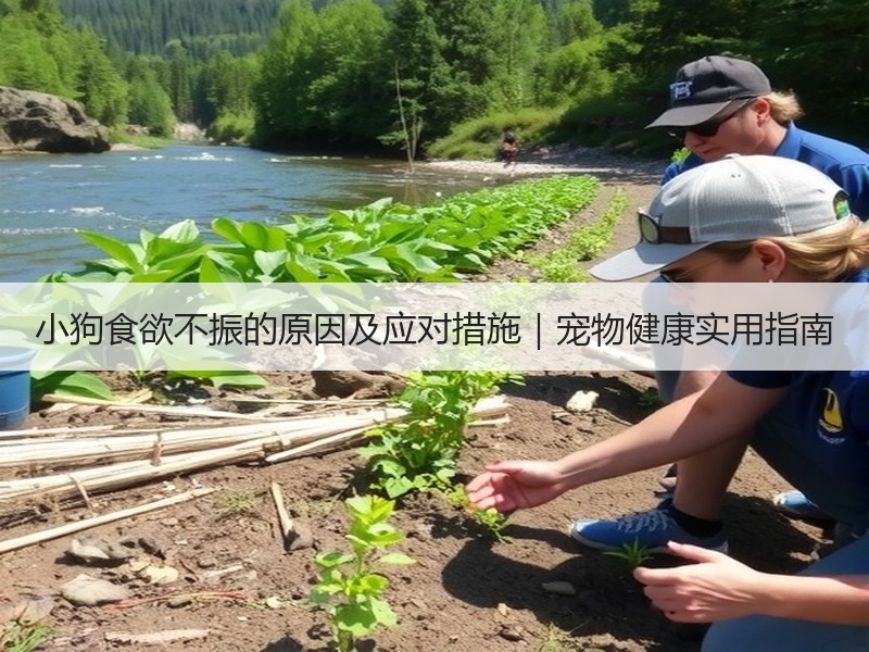 小狗食欲不振的原因及应对措施｜宠物健康实用指南