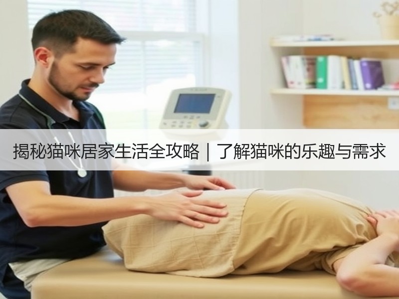 揭秘猫咪居家生活全攻略｜了解猫咪的乐趣与需求