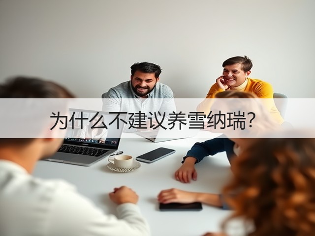 为什么不建议养雪纳瑞?(图1) 为什么不建议养雪纳瑞?(图1)