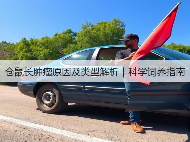 仓鼠长肿瘤原因及类型解析|科学饲养指南(图2) 仓鼠长肿瘤原因及类型解析|科学饲养指南(图2)