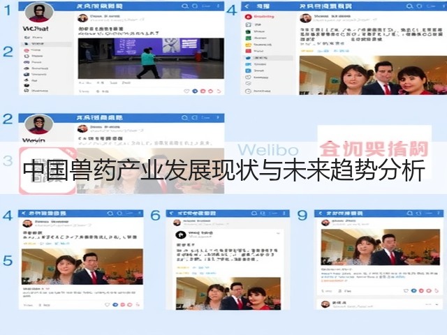 中国兽药产业发展现状与未来趋势分析(图2) 中国兽药产业发展现状与未来趋势分析(图2)