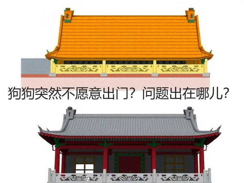 狗狗突然不愿意出门？问题出在哪儿？