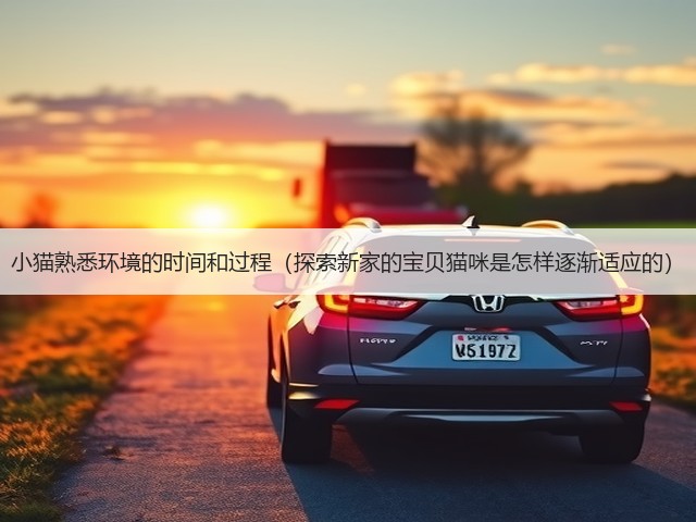 小猫熟悉环境的时间和过程(探索新家的宝贝猫咪是怎样逐渐适应的)(图1) 小猫熟悉环境的时间和过程(探索新家的宝贝猫咪是怎样逐渐适应的)(图1)