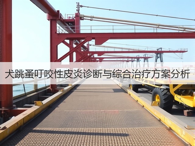 犬跳蚤叮咬性皮炎诊断与综合治疗方案分析(图2) 犬跳蚤叮咬性皮炎诊断与综合治疗方案分析(图2)
