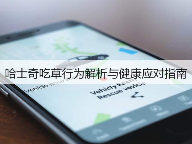 哈士奇吃草行为解析与健康应对指南(图1) 哈士奇吃草行为解析与健康应对指南(图1)